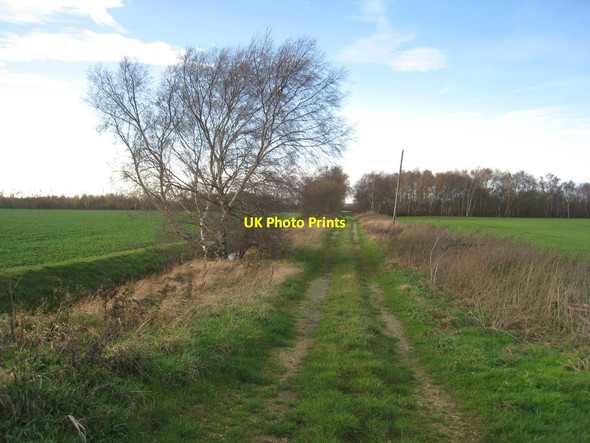 Photo 6"x4" Track on Roe Carr Tunnel Pits c2011