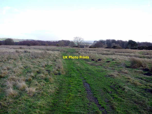 Photo 6"x4" Stagshaw Bank Halton\/NY9967 c2011 P1