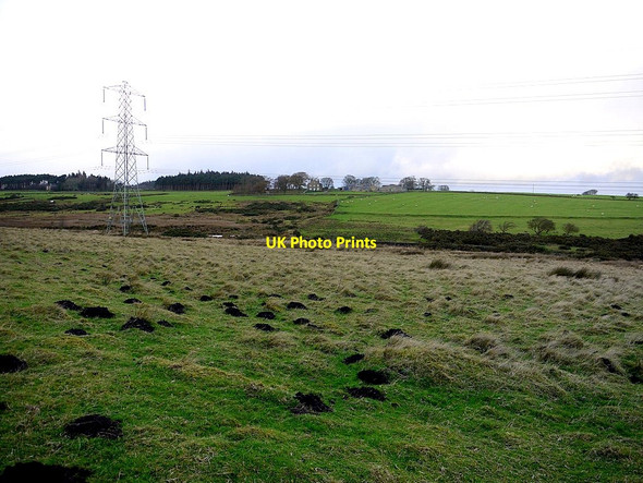 Photo 6"x4" Stagshaw Bank south of Portgate Halton\/NY9967 c2011