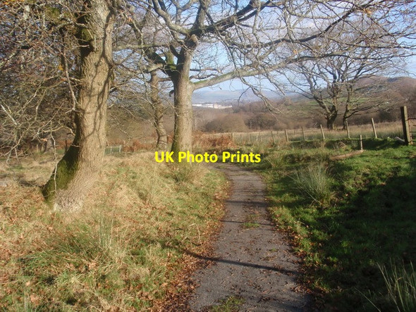 Photo 6"x4" Heol Garth Fawr Farm Road Glan-y-llyn c2011
