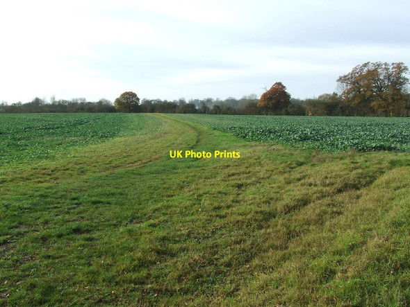 Photo 6"x4" Icknield Way Burrough Green c2011