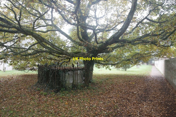 Photo 6"x4" Tomb under the tree Hampstead Norreys c2011