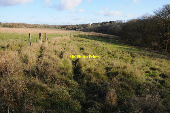 Photo 6"x4" Grassland on Parson's Hill Edgeworth c2011