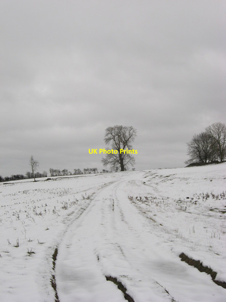 Photo 6"x4" Track Near Skiplam Grange Fadmoor c2009
