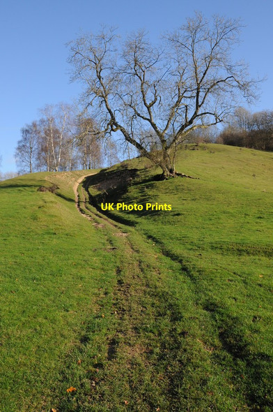 Photo 6"x4" Trees and a track Winstone c2011