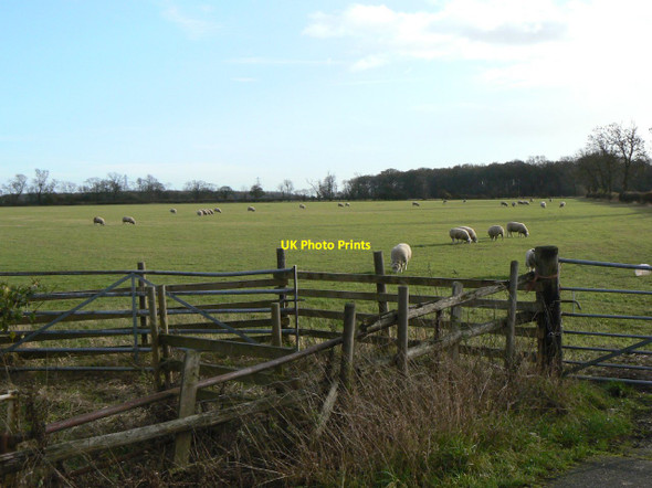 Photo 6"x4" Burton Wolds Six Hills c2011