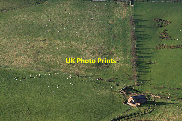 Photo 6"x4" Farmland at The Folly Cottage Morebattle c2011