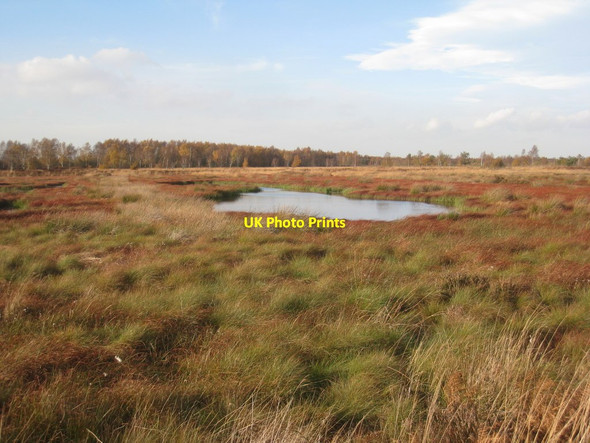 Photo 6"x4" Flooded peat working on Thorne Waste Moorends c2011