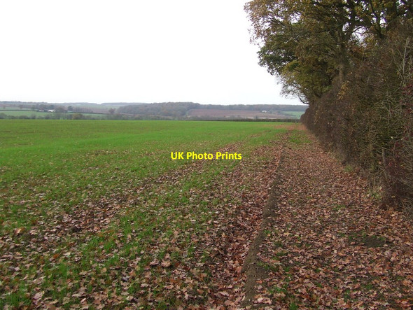 Photo 6"x4" Footpath Next To Carlton Wood Carlton\/TL6453 c2011