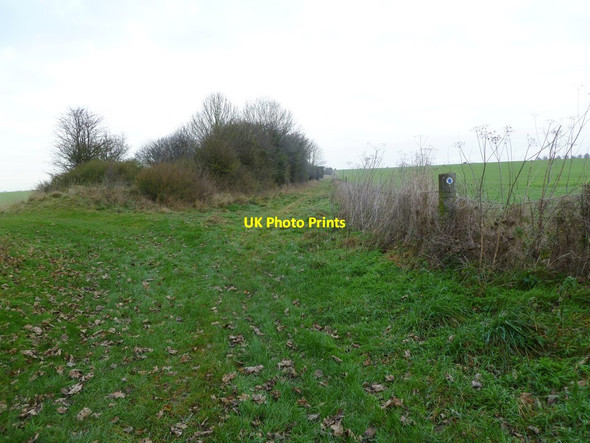 Photo 6"x4" Monkton Up Wimborne, bridleway Monkton Up Wimborne c2011 P1