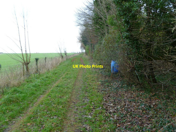 Photo 6"x4" Monkton Up Wimborne, bird feeder Monkton Up Wimborne c2011