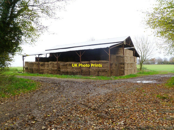 Photo 6"x4" Monkton Up Wimborne, barn Monkton Up Wimborne c2011