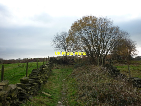 Photo 6"x4" Deep Lane, towards Clayton Scholemoor c2011