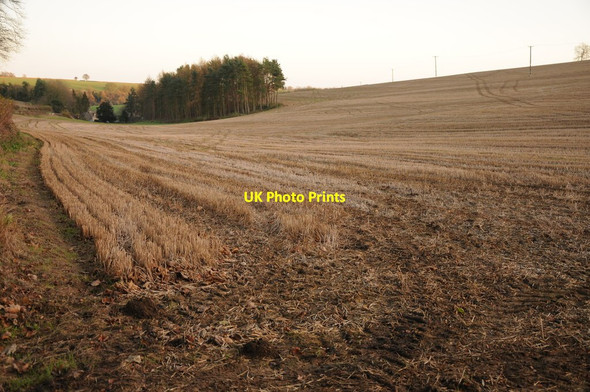 Photo 6"x4" Stubble field near The Camp The Camp\/SO9109 c2011