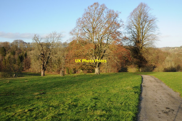 Photo 6"x4" Miserden Park Lypiatt c2011