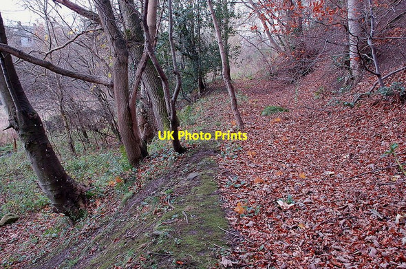Photo 6"x4" Gunpowder lade, Gorebridge Arniston\/NT3461 c2011