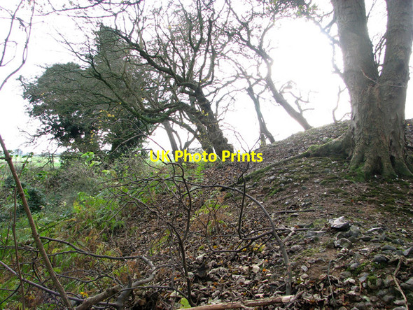 Photo 6"x4" Trees on the edge of disused gravel pits, Hempton Fakenham c2011