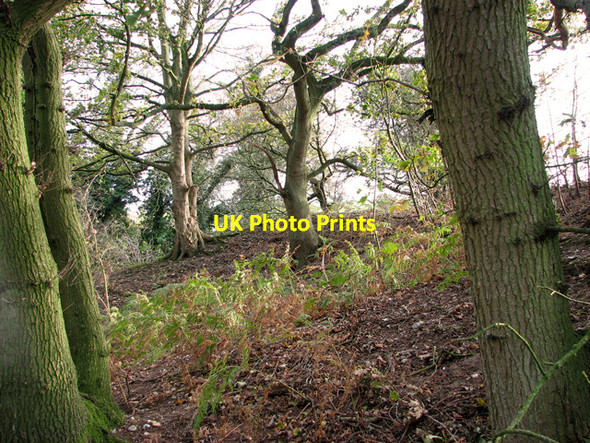 Photo 6"x4" Disused gravel pits, Hempton Fakenham c2011