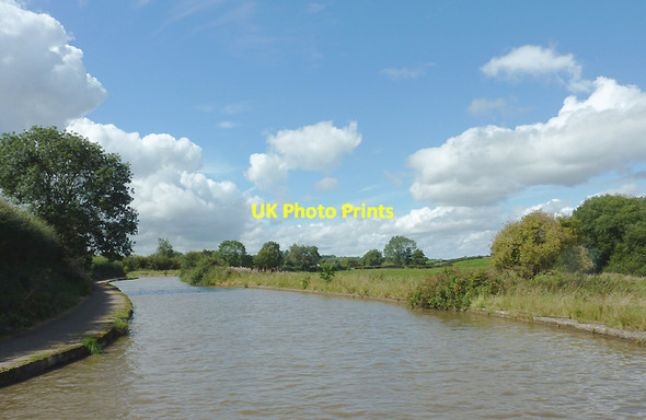 Photo 6"x4" Trent and Mersey Canal north of Middlewich, Cheshire Middlewich c2011 P1