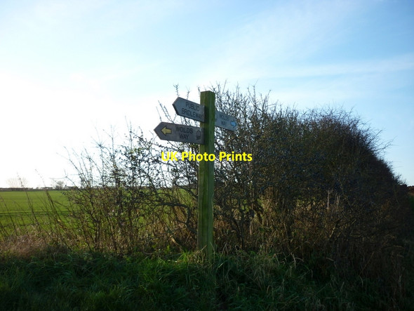 Photo 6"x4" The Wolds Way near Flotmanby Brow Folkton c2011