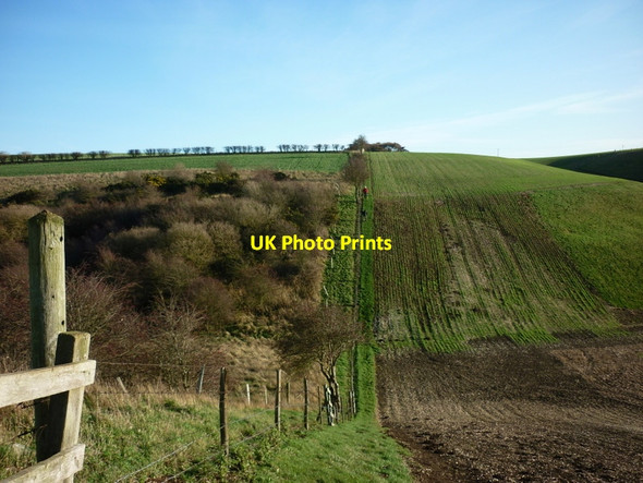Photo 6"x4" Looking north towards Kirk Heads Folkton c2011