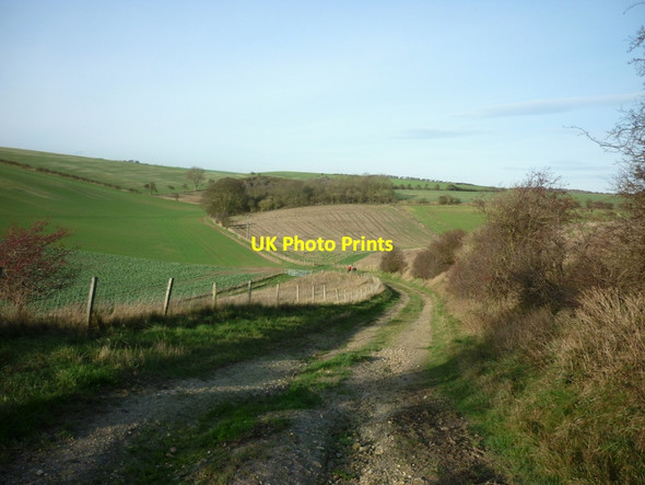 Photo 6"x4" Looking north along the Centenary Way Fordon c2011