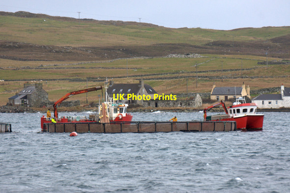 Photo 6"x4" Working on salmon cages in Uyea Sound Clivocast c2011