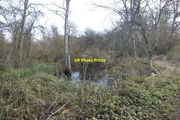 Photo 6"x4" Boggy section Woolhampton c2011