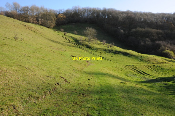 Photo 6"x4" Rough Copse and the Frome valley Edgeworth c2011