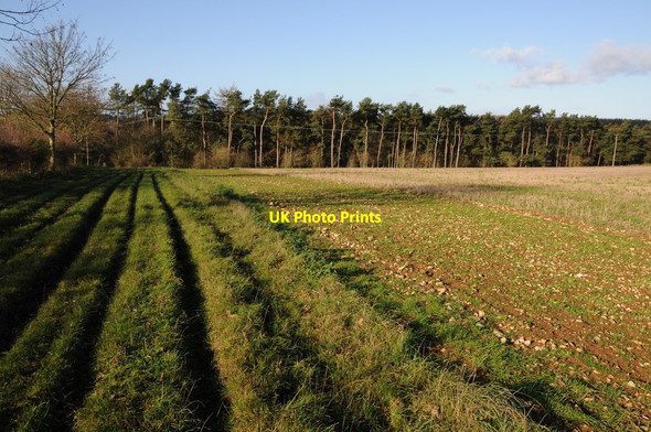 Photo 6"x4" A restricted byway above the Frome valley Winstone c2011