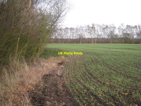 Photo 6"x4" Crowle Moors Windsor\/SE7612 c2011