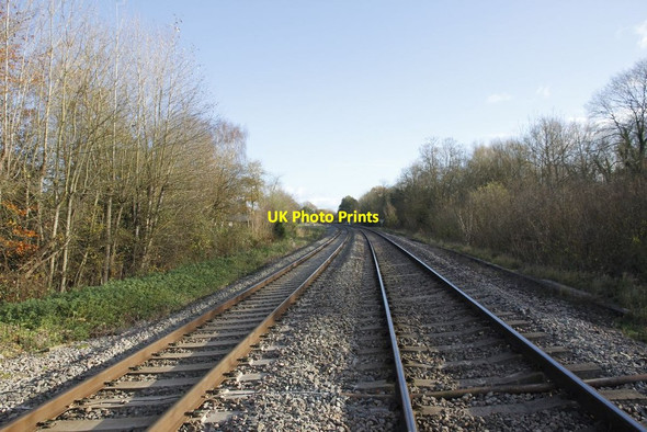 Photo 6"x4" View from the middle Woolhampton c2011