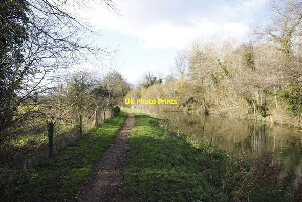 Photo 6"x4" Looking upstream Woolhampton c2011
