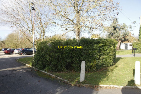 Photo 6"x4" Hidden behind the shrubs Woolhampton c2011