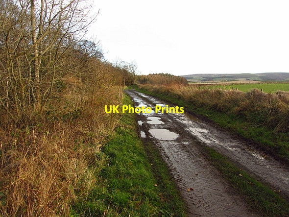Photo 6"x4" Farm track, Scarhill Wood Gifford c2011