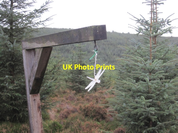 Photo 6"x4" Neptune Signpost near Kielder Observatory Kielder c2011