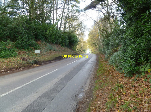 Photo 6"x4" Horton Heath, Horton Road Horton Heath\/SU0606 c2011