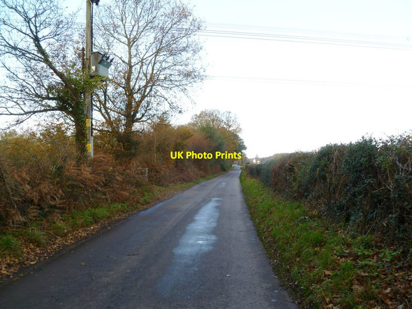 Photo 6"x4" Mannington, Burts Lane Lower Mannington c2011
