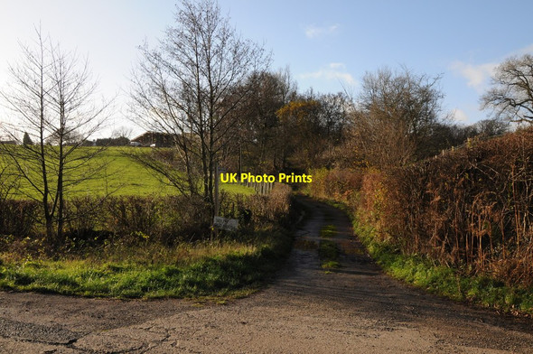 Photo 6"x4" Drive to The Old House Michaelchurch Escley c2011