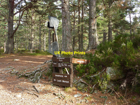 Photo 6"x4" Fire beaters and signpost at Piccadilly, Rothiemurchus Coylumbridge c2011