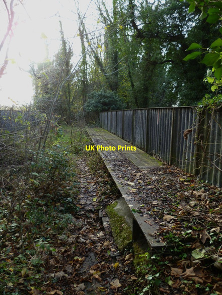 Photo 6"x4" Disused railway north of Hockley viaduct (3) St Cross c2011