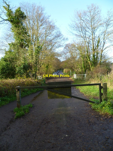 Photo 6"x4" Five Bridges Road Winchester c2011