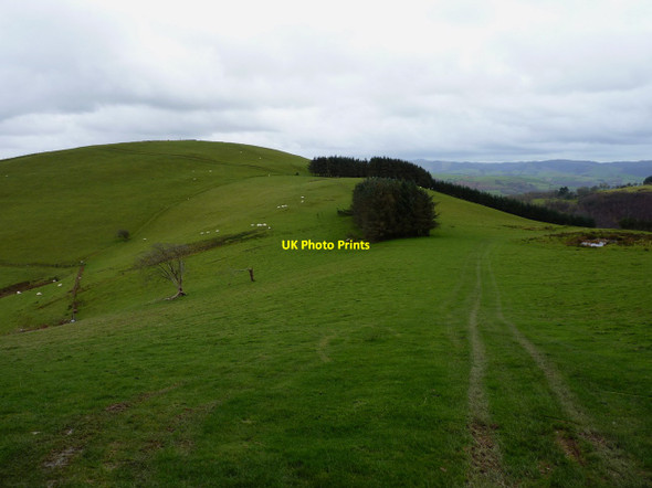 Photo 6"x4" Looking towards Foel from the track above Cemmaes Road\/Glantwymyn c2011