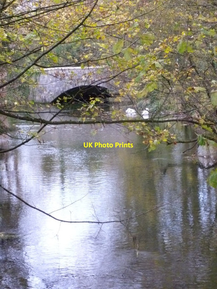 Photo 6"x4" Bridge with swans in Winchester Winchester c2011