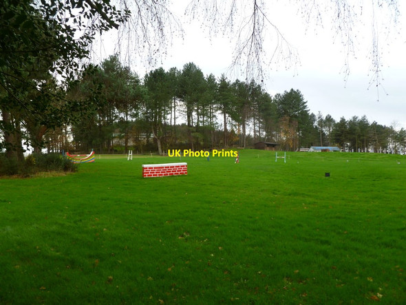 Photo 6"x4" Whitmore, horse jumps Woodlands Common c2011