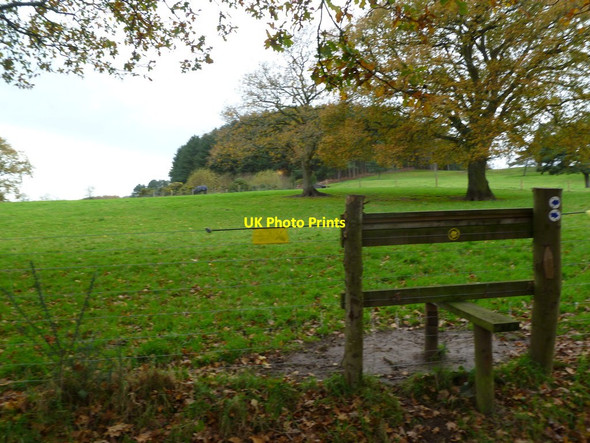Photo 6"x4" Wedge Hill, stile Woodlands Common c2011