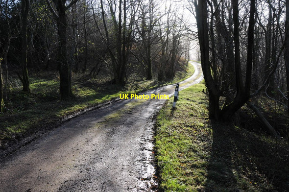 Photo 6"x4" Road below Little Black Hill Craswall\/SO2934 c2011