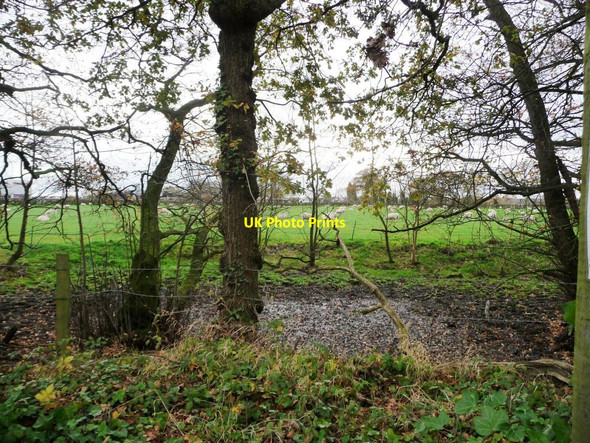 Photo 6"x4" Boggy land south of Townfield Lane Boots Green c2011