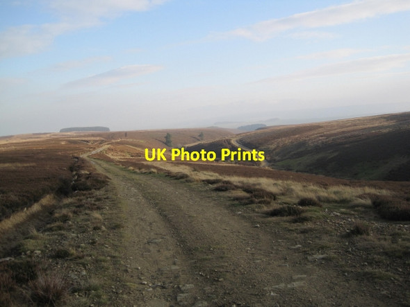 Photo 6"x4" Bridleway on Eshells Moor Whapweasel Burn c2011