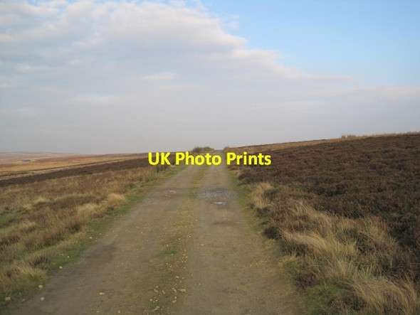 Photo 6"x4" Bridleway over Burntridge Moor Allendale Town c2011